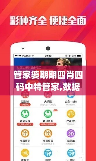 管家婆期期四肖四码中特管家,数据引导计划设计_W65.317