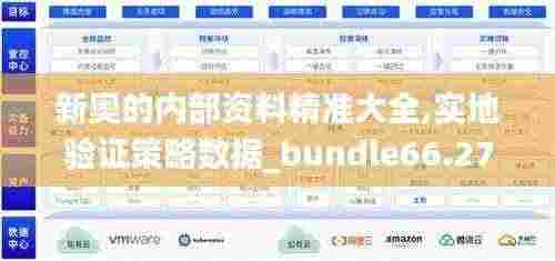 新奥的内部资料精准大全,实地验证策略数据_bundle66.279