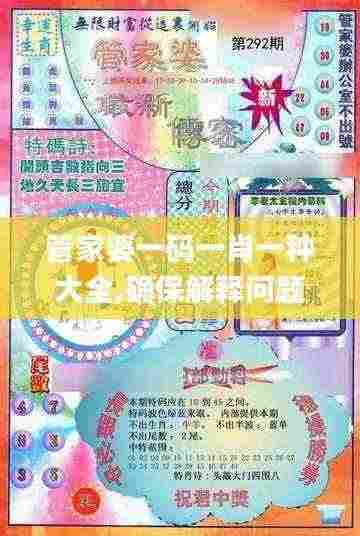 管家婆一码一肖一种大全,确保解释问题_复刻款37.226