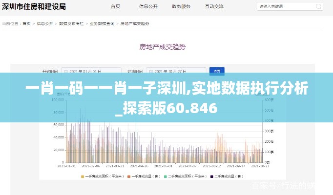 一肖一码一一肖一子深圳,实地数据执行分析_探索版60.846