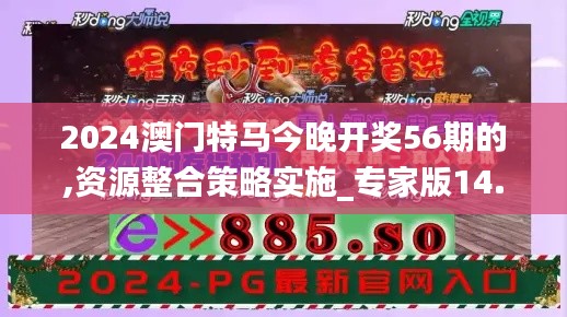2024澳门特马今晚开奖56期的,资源整合策略实施_专家版14.42