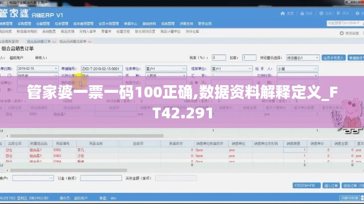 管家婆一票一码100正确,数据资料解释定义_FT42.291