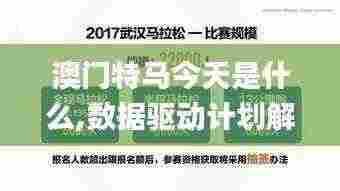 澳门特马今天是什么,数据驱动计划解析_macOS82.708