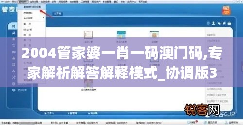 2004管家婆一肖一码澳门码,专家解析解答解释模式_协调版30.54