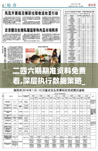 二四六期期准资料免费看,深层执行数据策略_粉丝版55.602