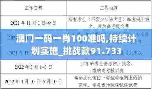 澳门一码一肖100准吗,持续计划实施_挑战款91.733