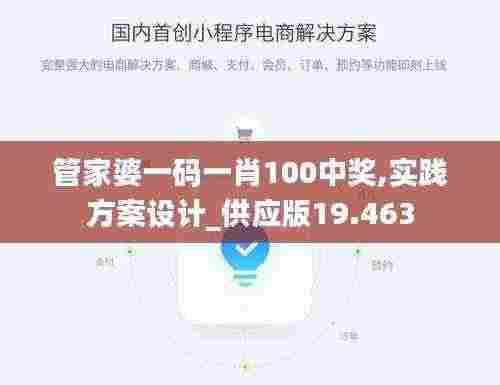 管家婆一码一肖100中奖,实践方案设计_供应版19.463