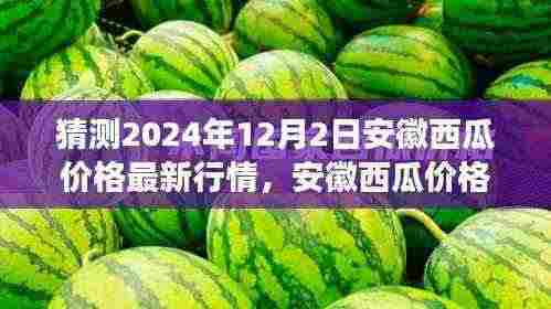 2024年12月2日安徽西瓜价格预测与行情展望，专家观点碰撞