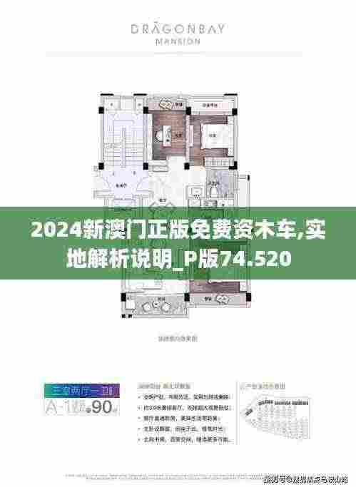 2024新澳门正版免费资木车,实地解析说明_P版74.520