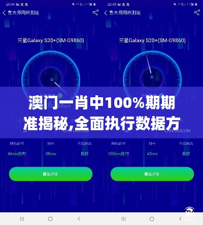 澳门一肖中100%期期准揭秘,全面执行数据方案_XR82.563