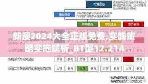 新澳2024大全正版免费,实践策略实施解析_BT型12.214