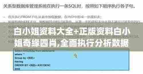 白小姐资料大全+正版资料白小姐奇缘四肖,全面执行分析数据_GT71.131