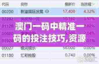 澳门一码中精准一码的投注技巧,资源策略实施_安卓版29.874