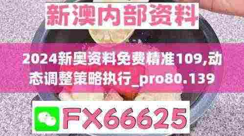 2024新奥资料免费精准109,动态调整策略执行_pro80.139