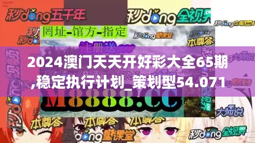 2024澳门天天开好彩大全65期,稳定执行计划_策划型54.071
