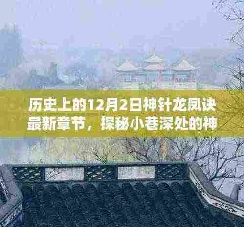 神针龙凤诀最新章节揭秘，探秘神秘小巷与奇幻之旅