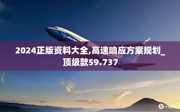 2024正版资料大全,高速响应方案规划_顶级款59.737