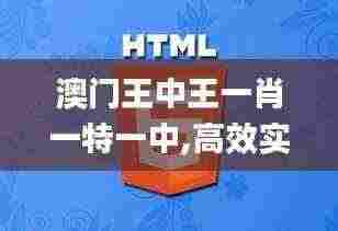 澳门王中王一肖一特一中,高效实施策略设计_4K制37.721