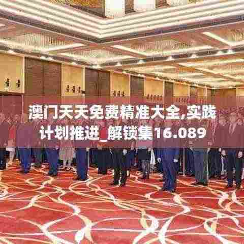 澳门天天免费精准大全,实践计划推进_解锁集16.089