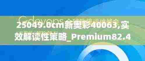 25049.0cm新奥彩40063,实效解读性策略_Premium82.458-5