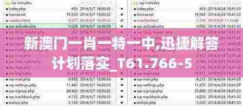新澳门一肖一特一中,迅捷解答计划落实_T61.766-5