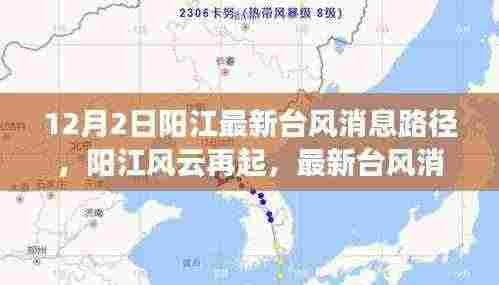 阳江最新台风消息路径解析，风云再起，深度了解台风动态