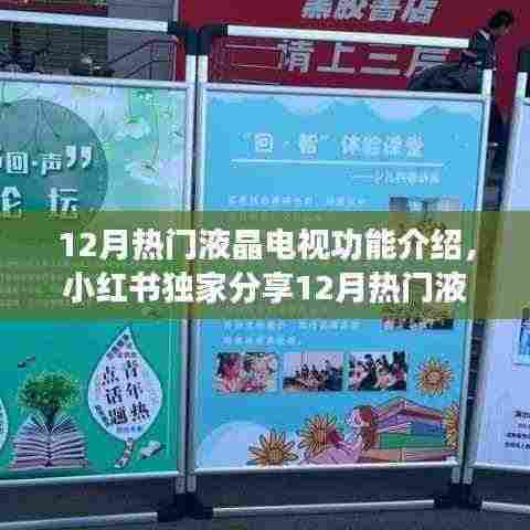 小红书独家揭秘，12月热门液晶电视功能盛宴，视听体验升级指南