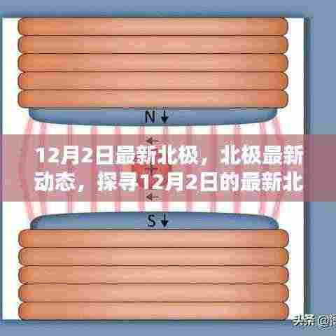 探寻北极奥秘，最新动态与奥秘揭秘（12月2日）