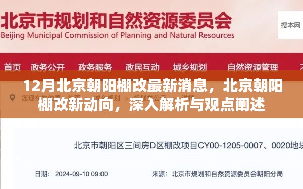 北京朝阳区棚改最新动态，深入解析与观点阐述