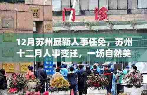 苏州十二月人事任免揭秘，自然美景中的心灵探秘之旅