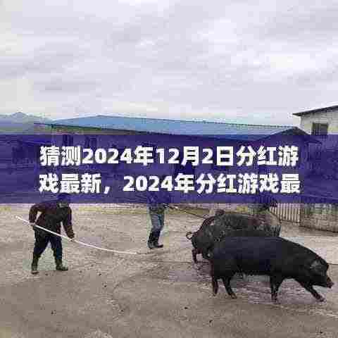 猜测2024年12月2日分红游戏最新，2024年分红游戏最新玩法攻略，从零开始的入门指南