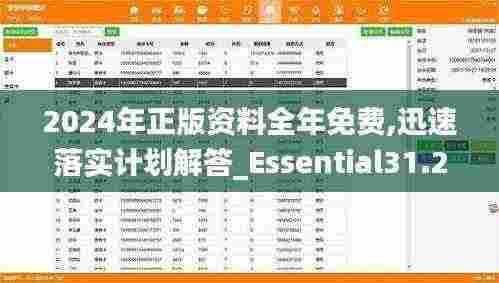 2024年正版资料全年免费,迅速落实计划解答_Essential31.253-3