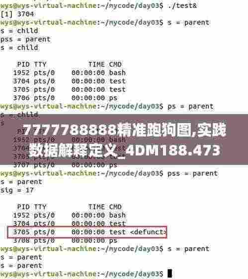 7777788888精准跑狗图,实践数据解释定义_4DM188.473-6