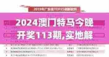 2024澳门特马今晚开奖113期,实地解析数据考察_VE版69.823-3