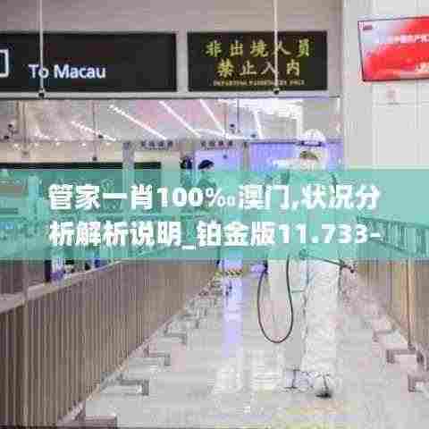 管家一肖100‰澳门,状况分析解析说明_铂金版11.733-2