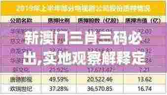 新澳门三肖三码必出,实地观察解释定义_ZKI15.848超级版
