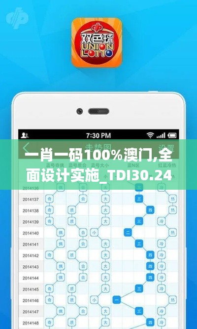 一肖一码100%澳门,全面设计实施_TDI30.243时尚版