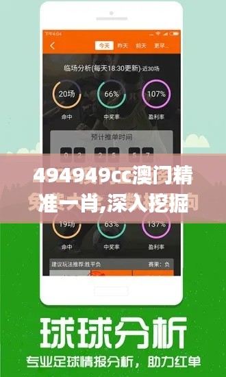 494949cc澳门精准一肖,深入挖掘解释说明_NAU31.218灵动版