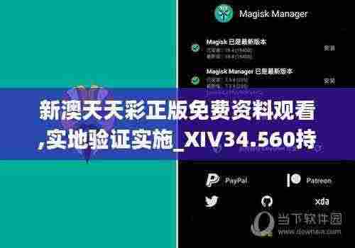 新澳天天彩正版免费资料观看,实地验证实施_XIV34.560持久版