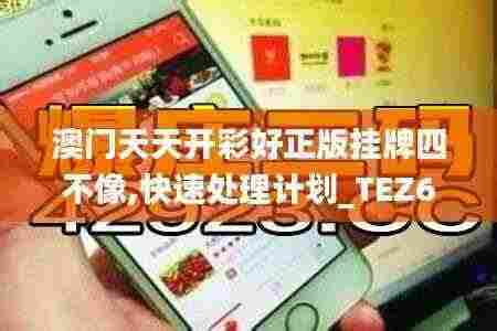 澳门天天开彩好正版挂牌四不像,快速处理计划_TEZ62.699瞬间版
