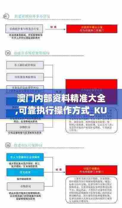澳门内部资料精准大全,可靠执行操作方式_KUF16.652并发版