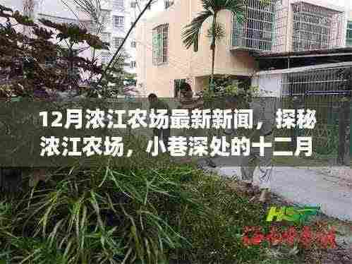 浓江农场十二月惊喜之星，田园小憩最新报道