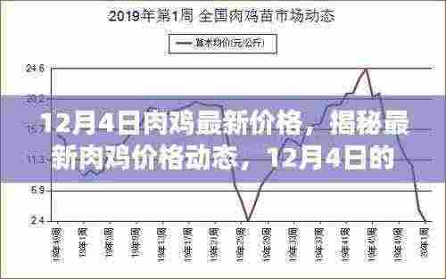揭秘，最新肉鸡价格动态与行业洞察（12月4日）