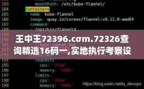 王中王72396.cσm.72326查询精选16码一,实地执行考察设计_Max62.498-4
