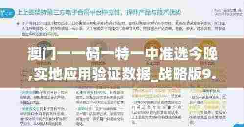澳门一一码一特一中准选今晚,实地应用验证数据_战略版9.192