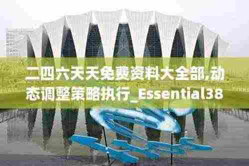 二四六天天免费资料大全部,动态调整策略执行_Essential38.621