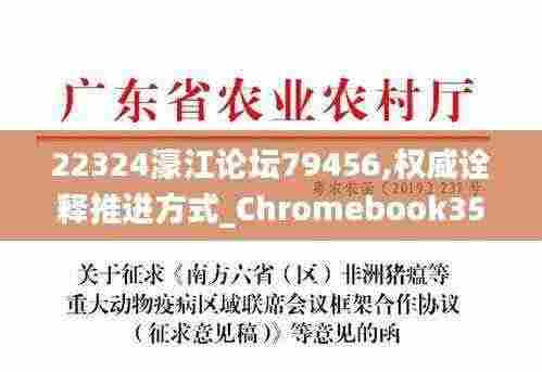 22324濠江论坛79456,权威诠释推进方式_Chromebook35.818