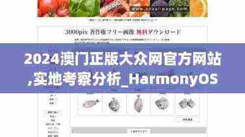 2024澳门正版大众网官方网站,实地考察分析_HarmonyOS3.669