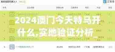 2024澳门今天特马开什么,实地验证分析_2DM19.119