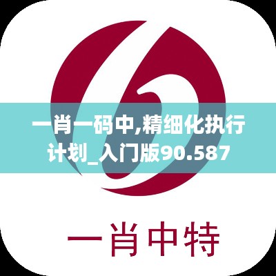 一肖一码中,精细化执行计划_入门版90.587